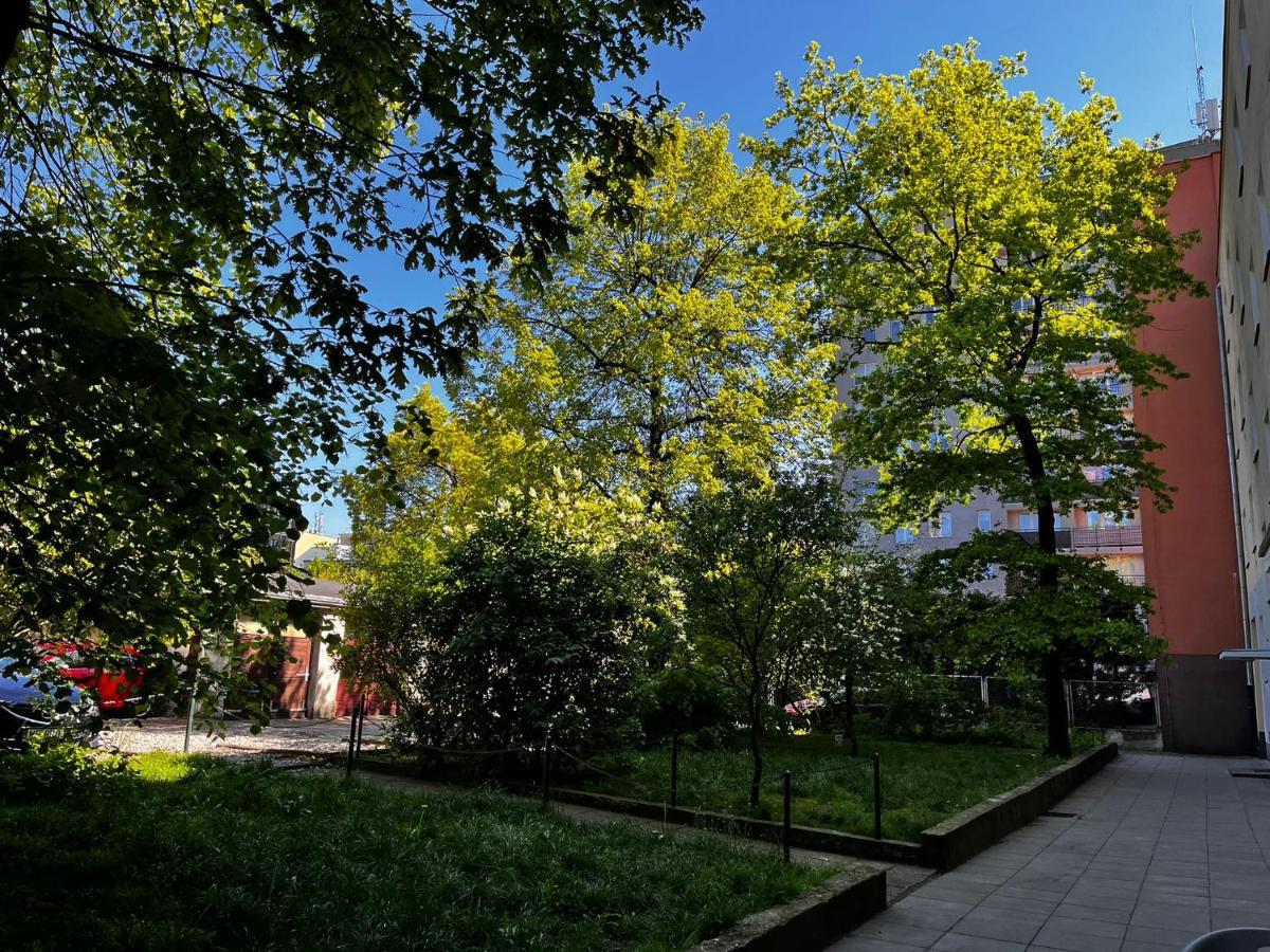 Studio Close To Royal Lazienki Park, Недалеко От Олинек Varsó Kültér fotó